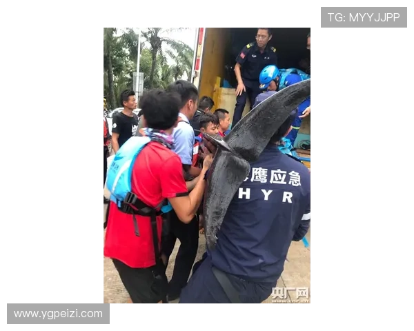 医学专家警告DV9伤复发风险大强烈建议优先考虑非手术治疗方案